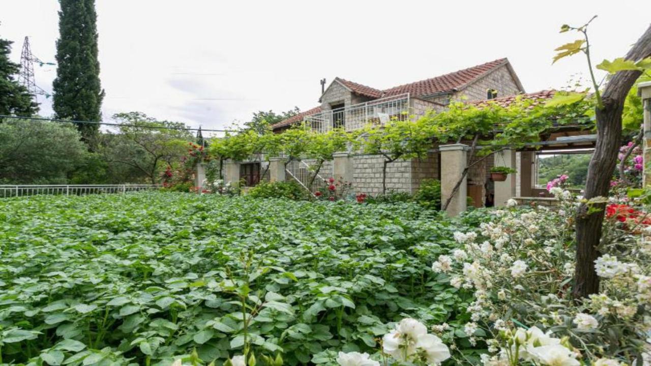 Apartment Klepo Dubrovnik Kültér fotó